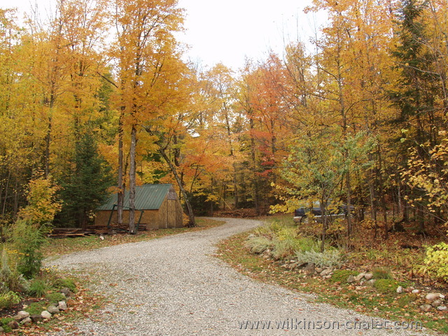 Cottage driveway during the Fall, 
       Lac des trente et un milles (31 miles lake),
       Bouchette, Quebec