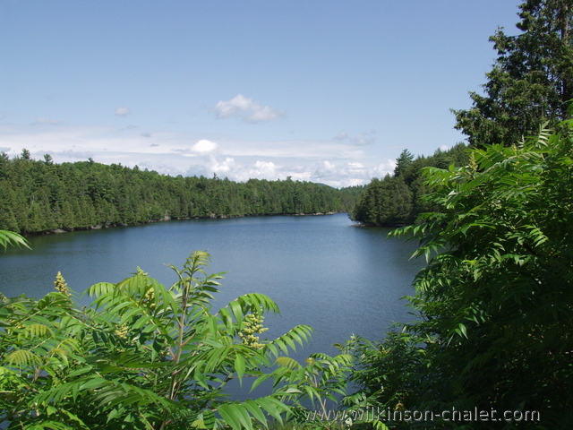 Malone Bay during the Summer,
       Lac des trente et un milles (31 miles lake),
       Bouchette, Quebec