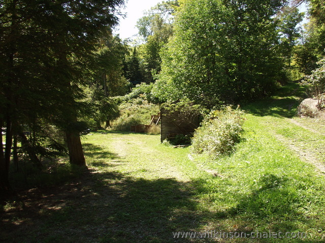 Road from the boat launch up to the cottage during the Summer